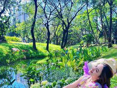 -人民公园(罗湖区)