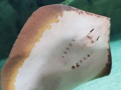 -珠海长隆海洋王国