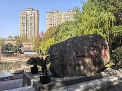 -陈家山荷花公园