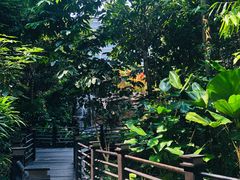 -吉隆坡国际机场