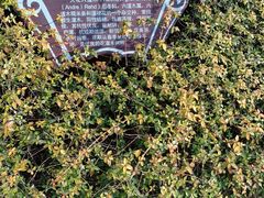 -绍兴镜湖国家城市湿地公园