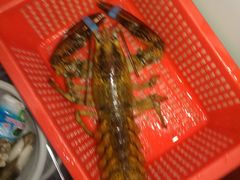 排骨粥-船奇蒸汽海鲜·闽菜(八市海鲜总店)