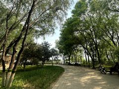 -永定河休闲森林公园