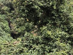 -海口火山口国家地质公园