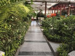 -春满园生态餐厅(南宫路店)