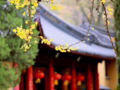 -灵谷景区