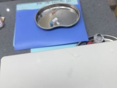 -半岛宠物医院24小时(白果林店)