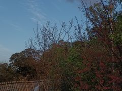 -福道