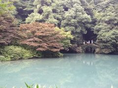 iphone_upload_pic-九溪烟树