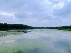 -塞罕坝国家级自然保护区