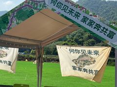 -龙坞茶村