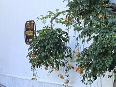 -梦轩快捷酒店(苏州火车站店)