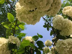 -大龙山(地铁站)