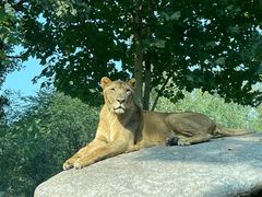 -北京野生动物园