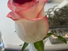 -虹御轩·传承江浙菜(虹桥店)