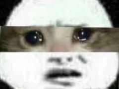 -深圳大学总医院