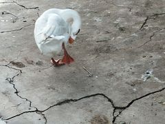 -回龙观体育文化公园