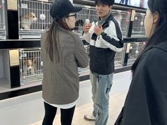 -翊宠yipet猫狗购宠庄园犬舍•猫舍