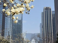 -中央公园(苏州工业园区)