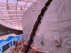 -陕西自然博物馆