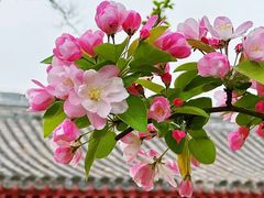 -元大都城垣遗址公园