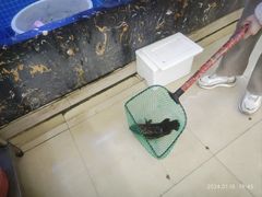 -鑫鸿达·海鲜闽菜热炒小馆(中山路店)