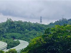 -深圳仙湖植物园