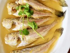 -宁波柏悦酒店·钱湖渔港