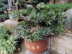 -峨眉山报国寺