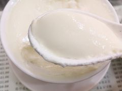 姜汁撞奶-义顺牛奶公司(庇利金街店)