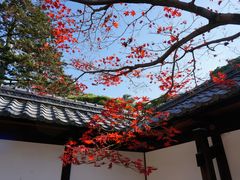 -京都御所