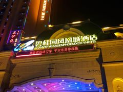 -碧桂园凤凰城酒店(南京店)