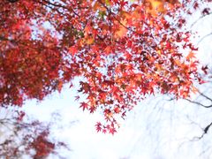 -清水寺