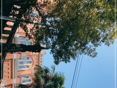 -上海佘山国家森林公园西佘山园