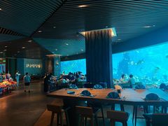 大堂-涛·海底餐厅·美人鱼·自助餐·海底隧道(三亚海棠湾洲际度假酒店)