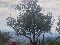 -广州市白云山风景名胜区
