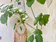 -AHAVA·Fang Baking Studio