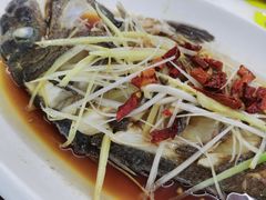 -望海潮海鲜店 特色家常菜(在海一方店)