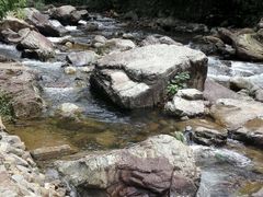 -广州市石门国家森林公园