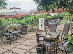 -桃源山庄·水蜜桃采摘·柴火鸡·烧烤团建(龙泉山店)
