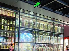 -广东中医药博物馆