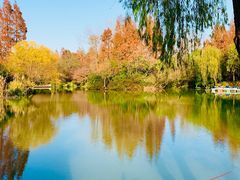 -上海滨江森林公园