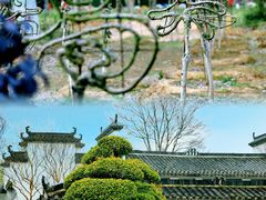 -武汉紫薇都市田园