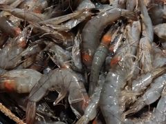 -星伦多自助料理(永旺店)