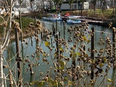 -上海浦江郊野公园-2号停车场