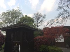 -桃花岛景观公园