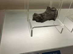 -旅顺博物馆