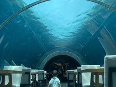 -海棠湾洲际-涛·海底餐厅·美人鱼·自助餐·海底隧道