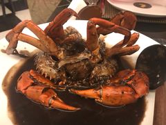 -Ministry of Crab(科伦坡店)