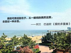 -青岛朗艺美术馆·海景咖啡
